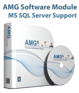 MS SQL Server Support